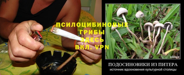 mdpv Алексин