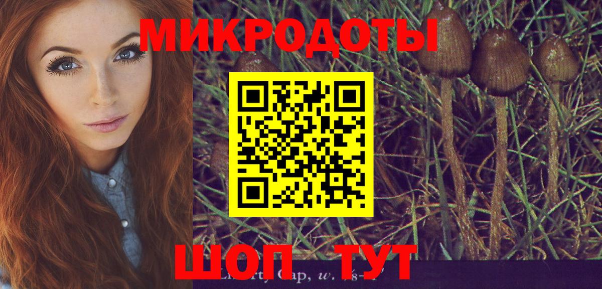 Псилоцибиновые грибы Psilocybe  Вход с VPN  Белебей 